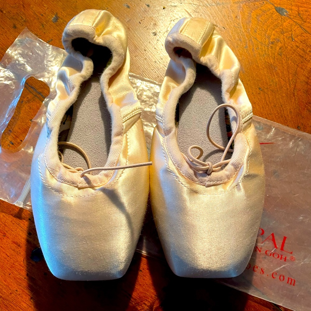 BALLET & DANCE SHOES BY PRINCIPAL ( by CHAN HON GOH ) SIZE 36 XXX ( US 5-5.5-6 )